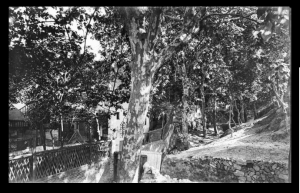 torrent-dels-tarongers-sota-de-la-font-trobada-branguli-1910-arxiu-nacional-de-catalunya